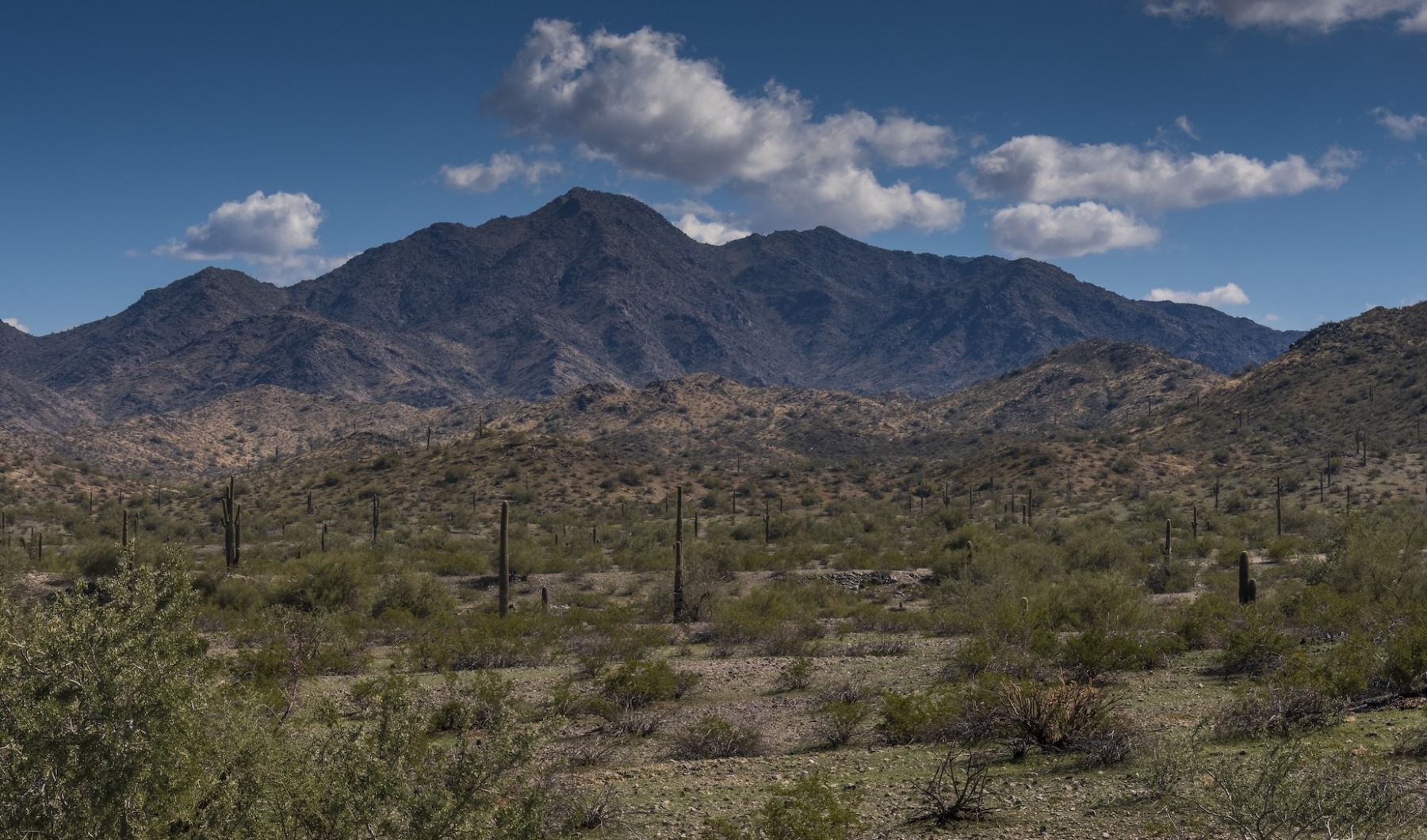 Explore What Canyon Trails Has to Offer arizona mountains